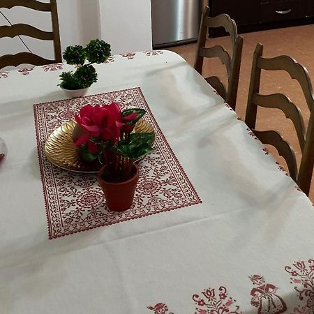 City Center Apartment Σκόδρα Εξωτερικό φωτογραφία